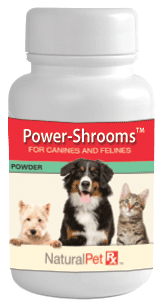 Power-Shrooms - 100 grams powder